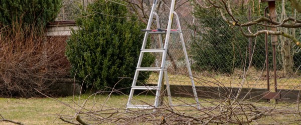 entretien jardin locataire